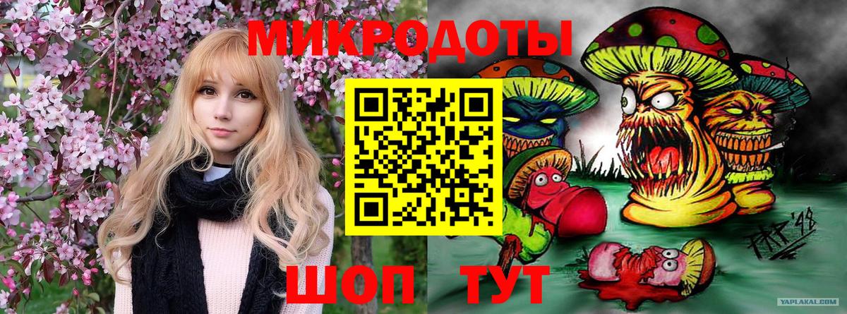 Галлюциногенные грибы GOLDEN TEACHER Острогожск
